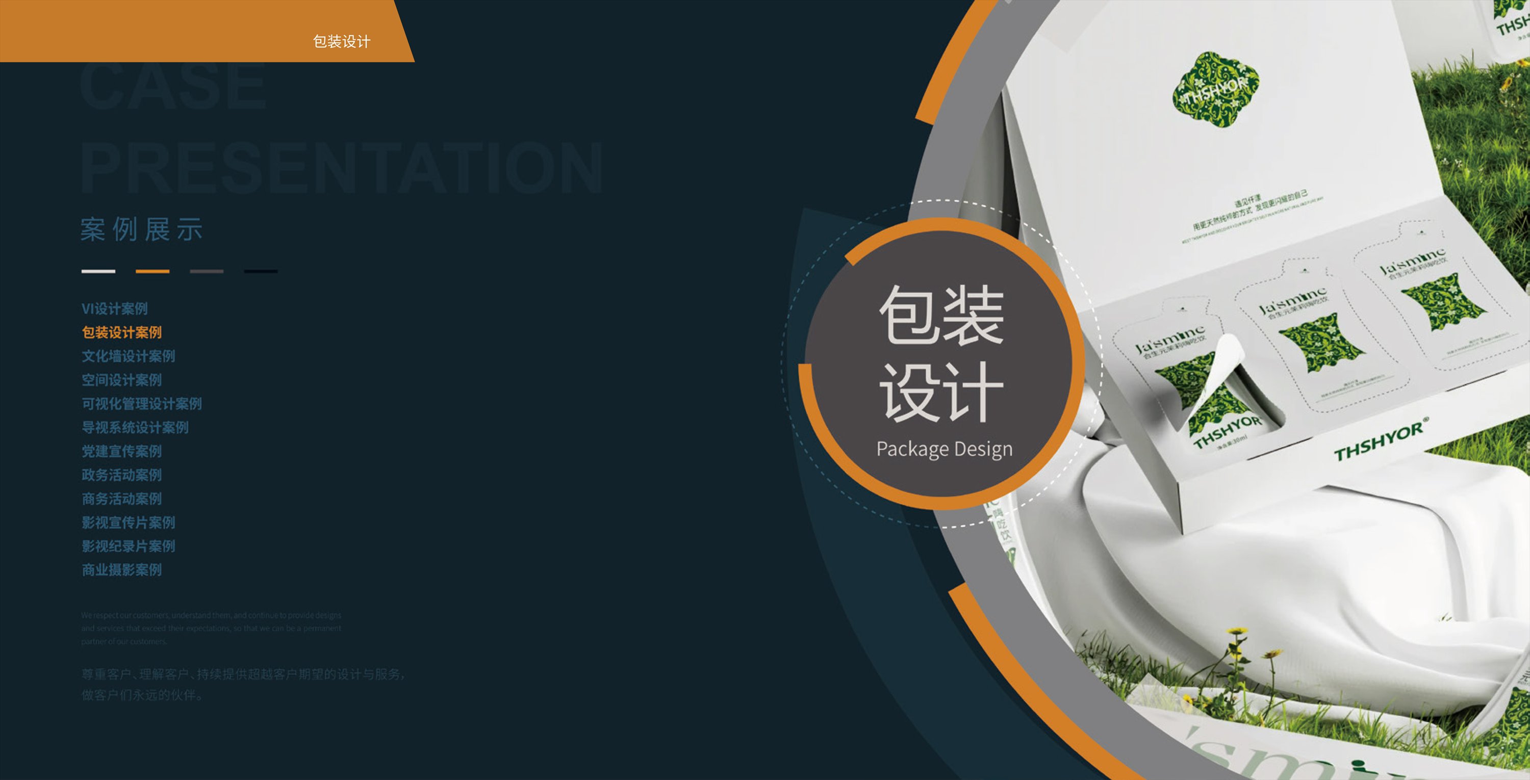 包装设计案例分类封面
